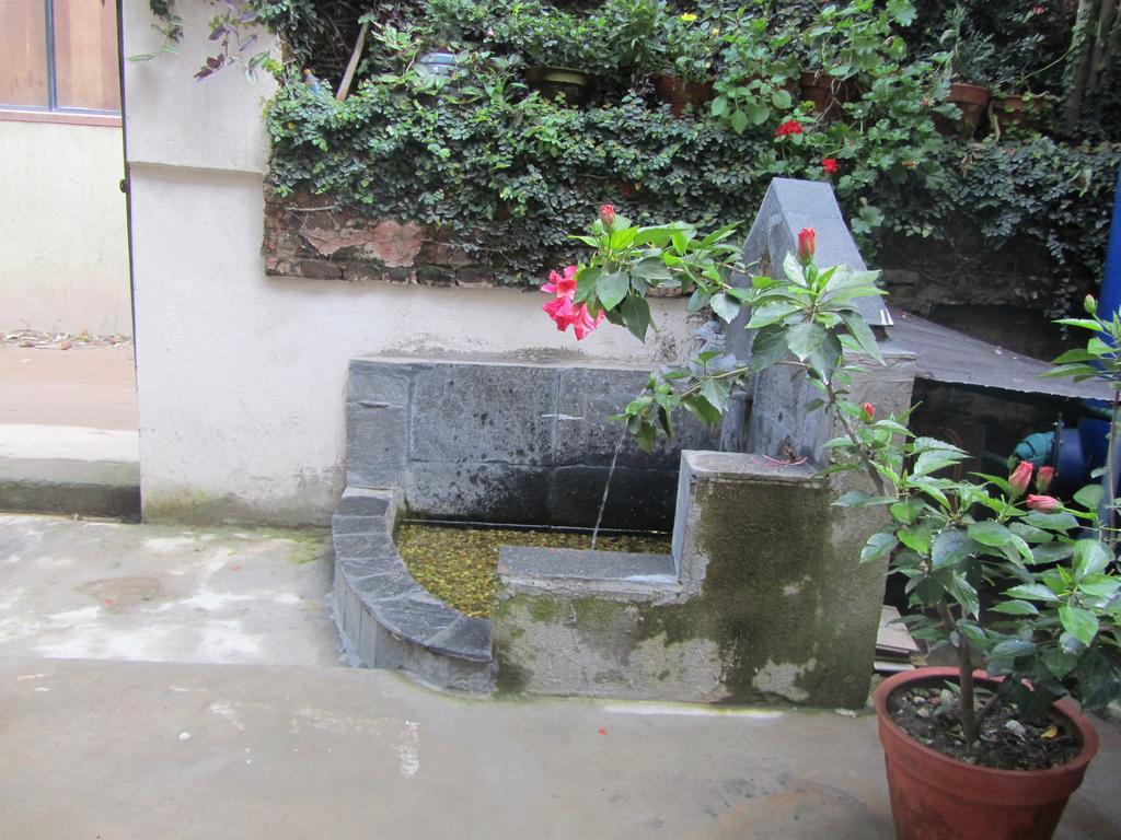 Hotel Peace N Park Kathmandu Exterior photo